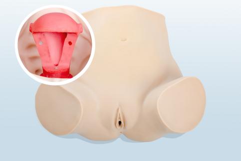 婦科上環(huán)、取環(huán)訓(xùn)練模型